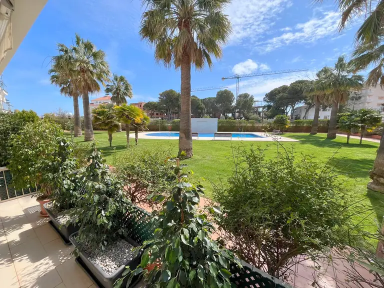Jardín con palmeras y piscina en Entre Playas.