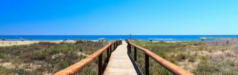 Pasarela de madera entre vegetación litoral hacia el mar