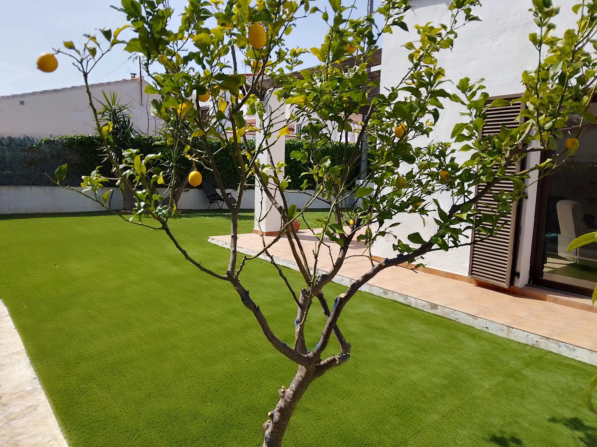 Jardín y vegetación junto a la vivienda · Adosado - porta alcala - playa cargador