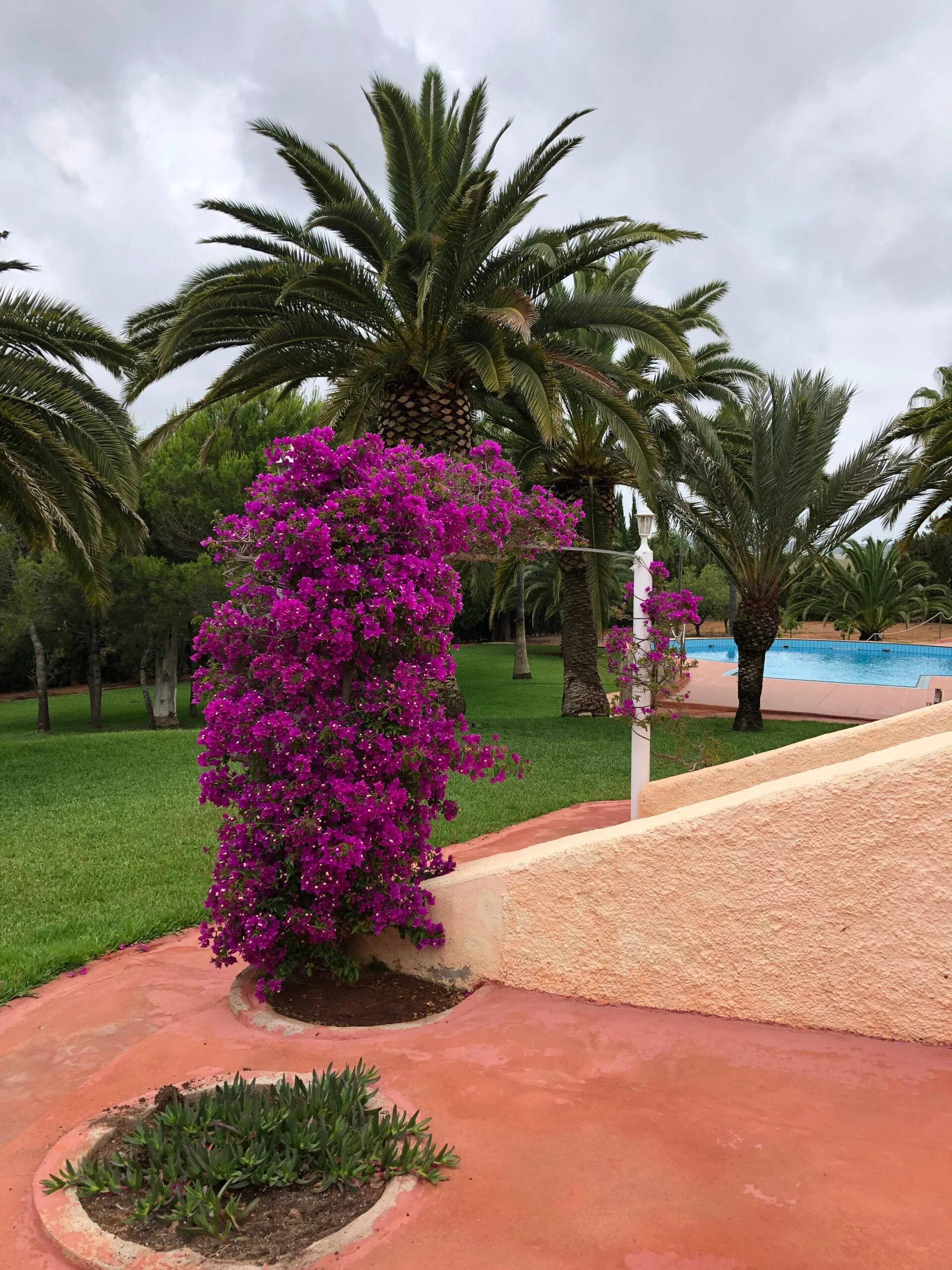 Jardín y vegetación junto a la vivienda · Chalet en tossalet