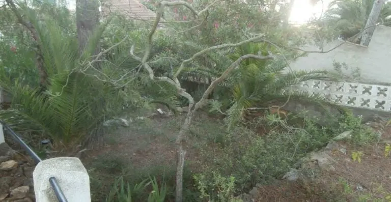 Jardín y espacios exteriores