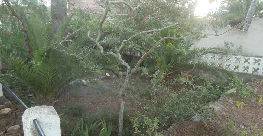 Jardín y espacios exteriores