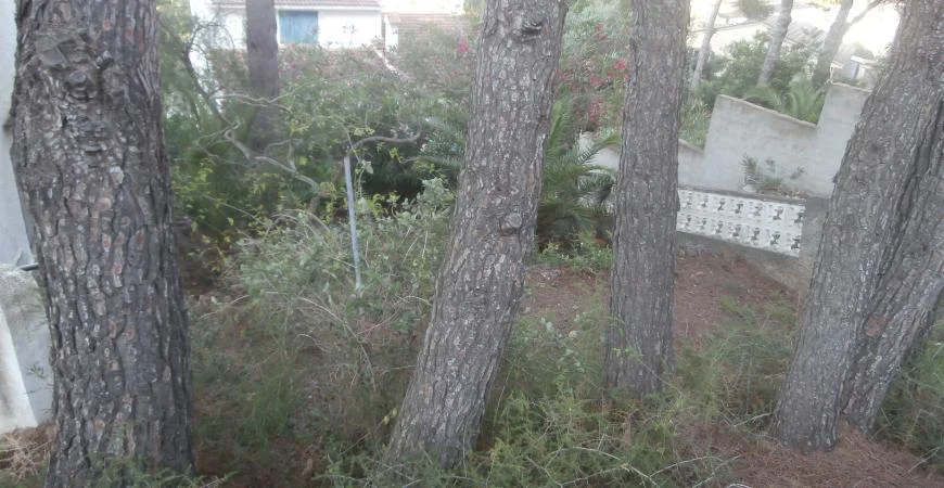 Jardín y espacios exteriores
