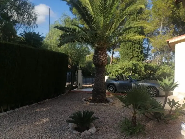 Jardín y espacios exteriores · Vista 38