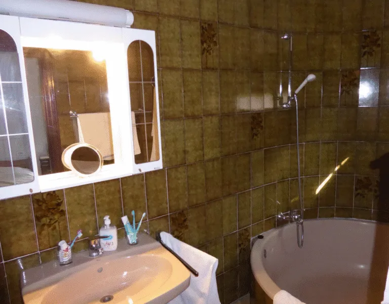 Baño con lavabo y sanitarios · Vista 20