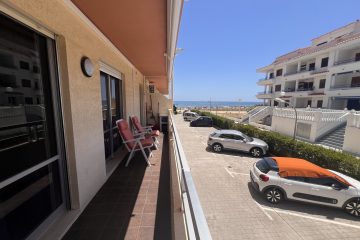 IMG_0246