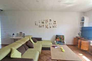 WhatsApp Image 2025-08-26 at 13.19.15