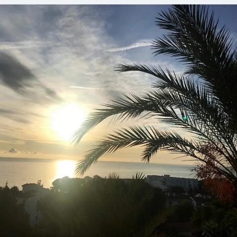 WhatsApp Image 2025-12-12 at 15.57.11