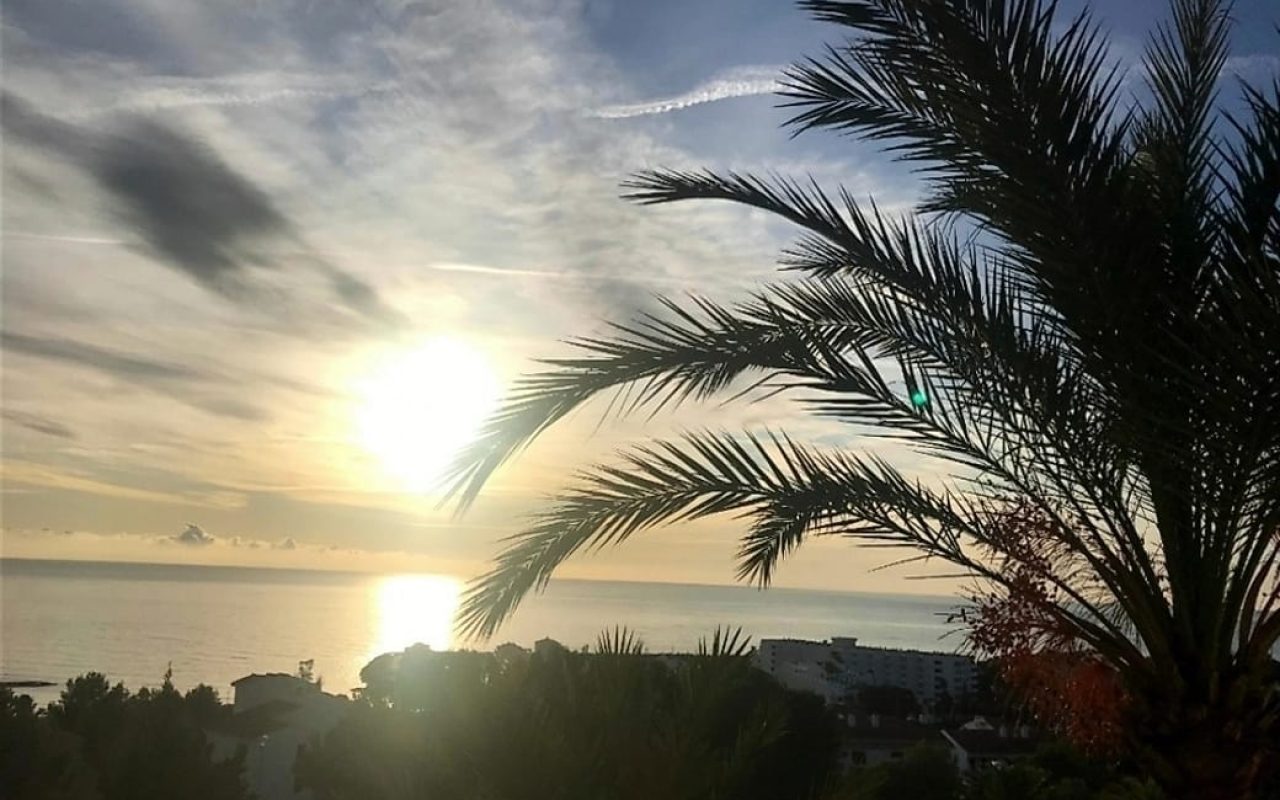 WhatsApp Image 2025-12-12 at 15.57.11