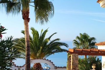 WhatsApp Image 2026-03-25 at 13.38.09 (1)