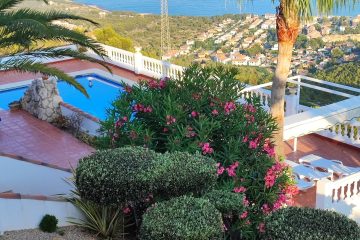 WhatsApp Image 2026-03-25 at 13.38.12