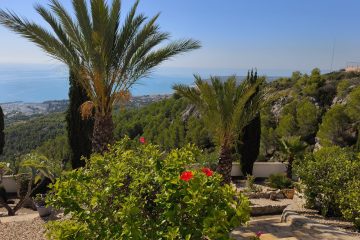 WhatsApp Image 2026-03-25 at 13.38.15 (1)