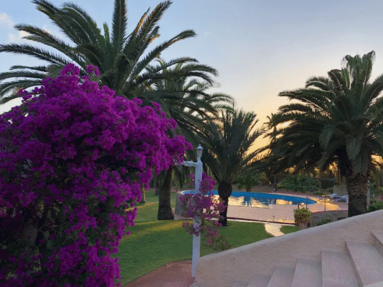 Jardín y vegetación junto a la vivienda · Chalet en tossalet · Vista 2